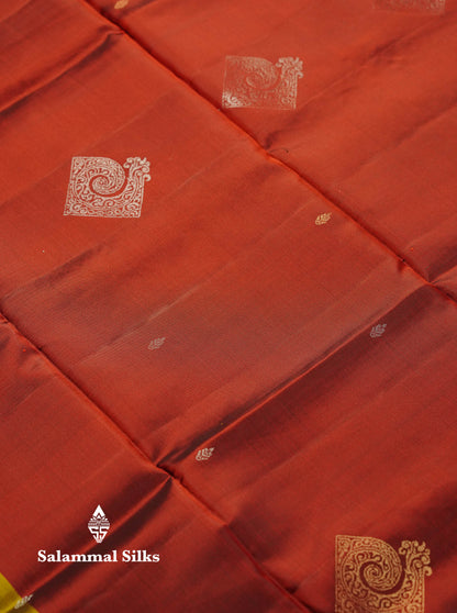 Beautiful Green Pure Mix Kanjivaram Soft Silk Saree With Contrast Grey Fancy Border