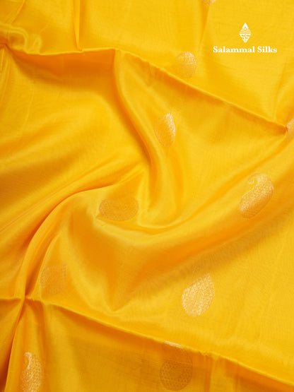 Yellow Pure Silk Mix Soft Silk Saree With Contrast Peacock Green Blouse