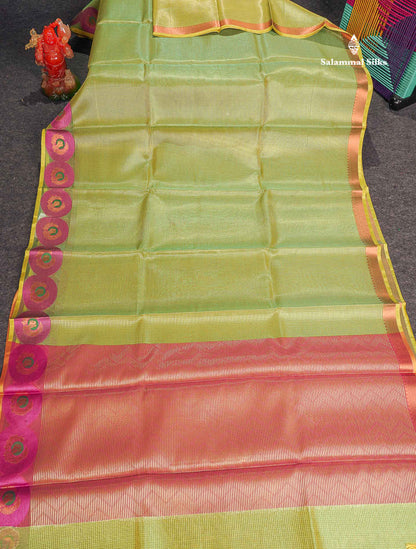 Tissue Saree - Light Green Colour Body With Fancy Border 