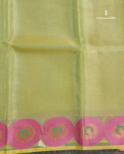 Tissue Saree - Light Green Colour Body With Fancy Border