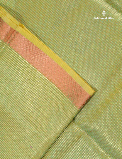 Tissue Saree - Light Green Colour Body With Fancy Border
