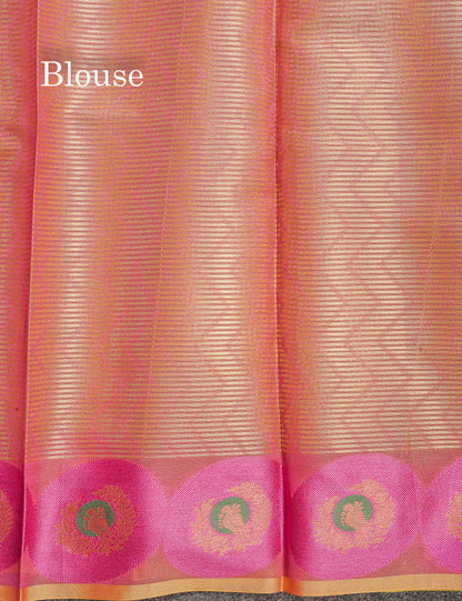 Tissue Saree - Light Green Colour Body With Fancy Border