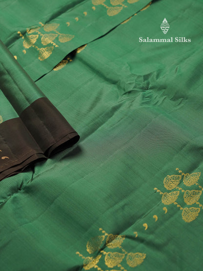Beautiful Dual ToneGreen PureMix Kanjivaram Soft Silk Saree With Contrast Dark Brown Border