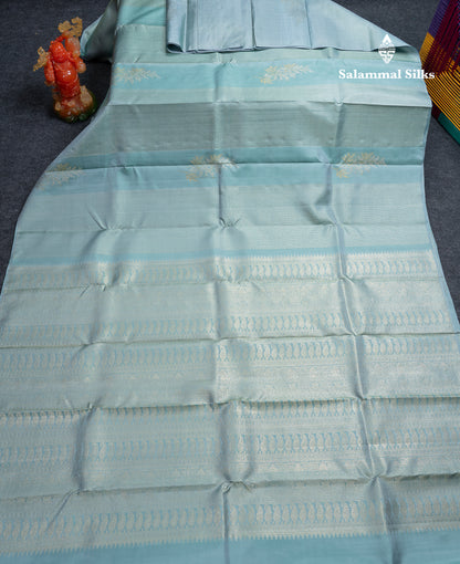 Beautiful Pastel Blue Fancy Pure Kanjivaram Silk Saree With Blouse