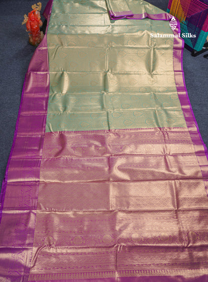 Beautiful Light Parrot Green Tissue Bridal Semi Silk Saree With Contrast Dark Purple Traditional Evening Morning Border