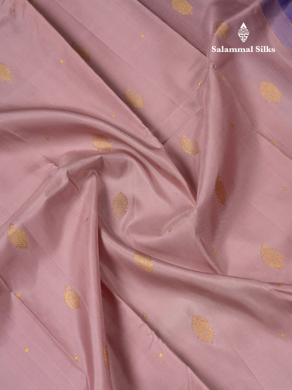 Beautiful Onion Pink Pure Kanjivaram Silk Saree With Contrast Violet Traditional Medium Border