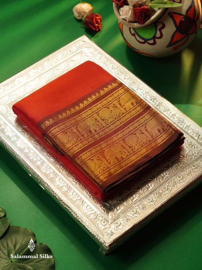 Beautiful Rust Orange Plain Pure Chettinad Cotton Saree With Contrast Dark Brown Traditional Evening Morning Border