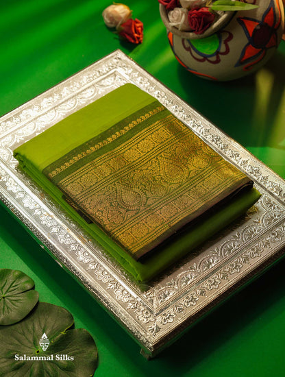 Beautiful Mehandi Green Plain Pure Chettinad Cotton Saree With Contrast Maroon Traditional Evening Morning Border
