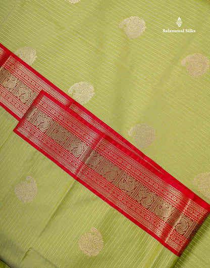 Semi Silk Saree -  Pista Green Zari Lines Butta With Contrast Redish Pink Traditional Evening Morning Border