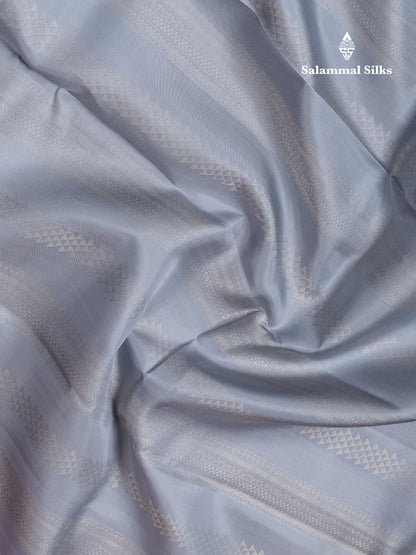 Beautiful Blueish Grey Pure Kanjivaram Silk Saree With Traditional Evening Morning Border