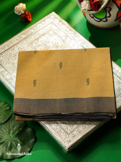 Beautiful Beige Thread Buttas Handloom Pure Cotton Saree With Navy Blue Border