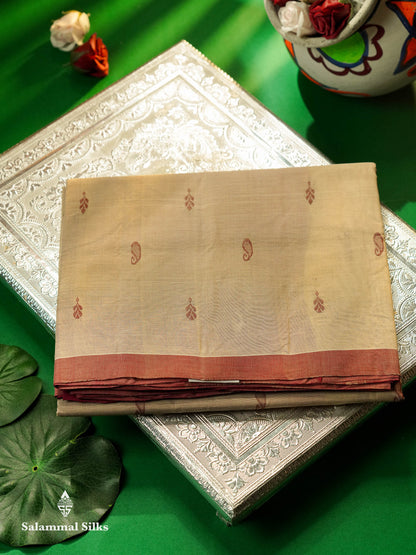 Beautiful Sandal Thread Buttas Handloom Pure Cotton Saree With Maroon Small Border
