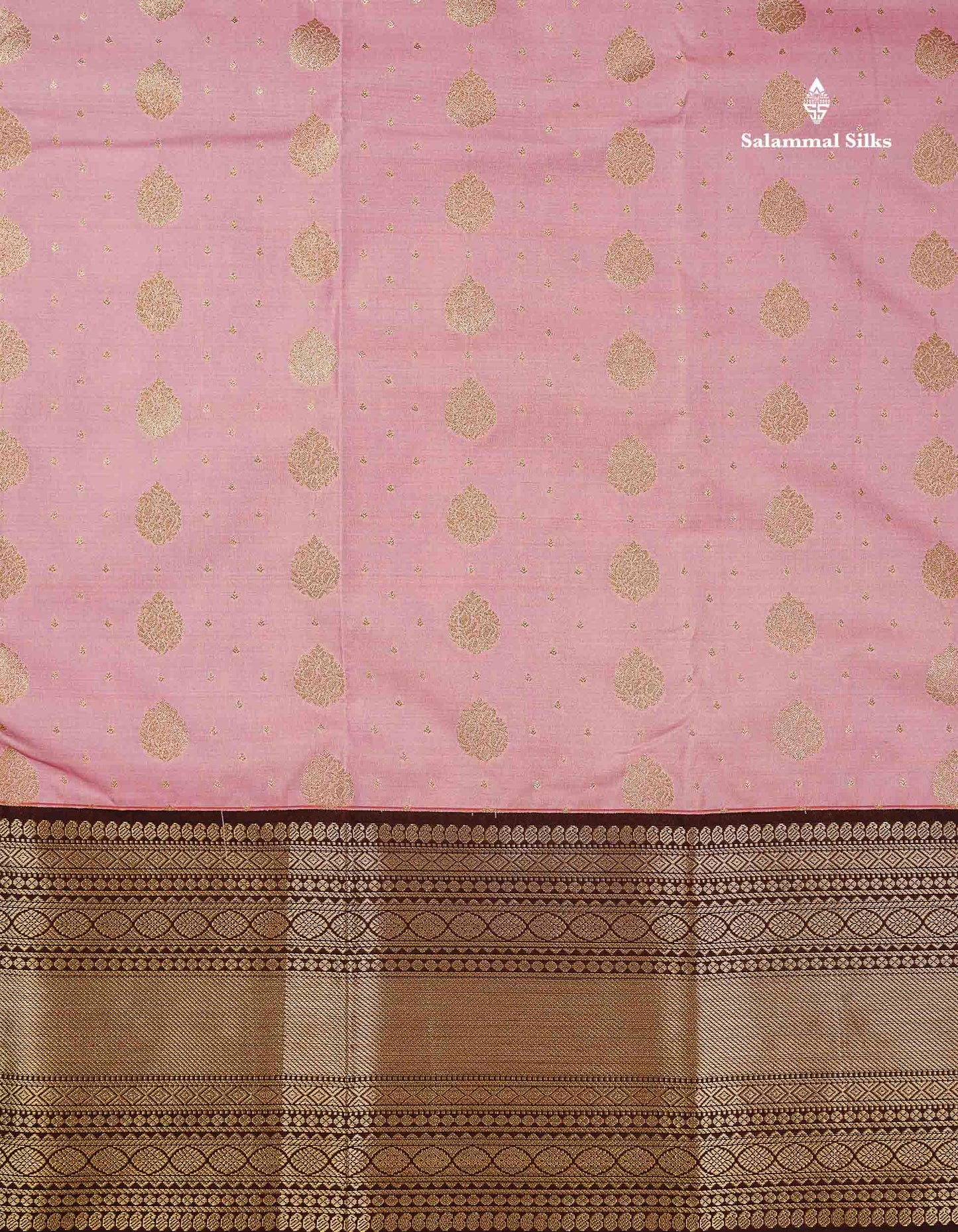 Semi Silk Saree - Baby Pink Zari Buttas With Contrast Dark Brown Traditional Evening Morning Border