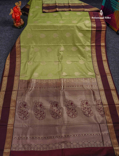 Semi Silk Saree - Pista Green Butta With Vaira Oosi Lines Along With Contrast Dark Brown Traditional Gap Border