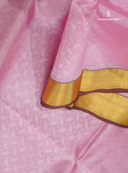 Semi Silk Saree - Baby Pink Colour Body With Contrast Dark Brown Evening Morning Border