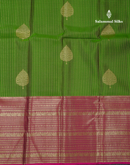 Beautiful Green Pure Kanjivaram Silk Saree With Contrast Magenta Traditional Evening Morning Border