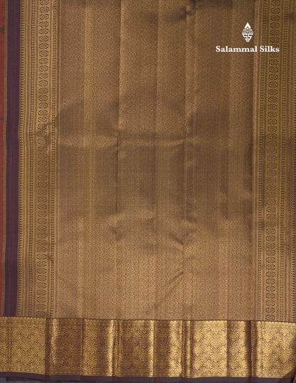Plain Rust Orange Kanjivaram Pure Silk Silk Fast Premium Zari Saree With Contrast Brown Border
