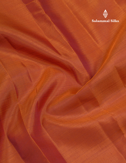 Plain Rust Orange Kanjivaram Pure Silk Silk Fast Premium Zari Saree With Contrast Brown Border