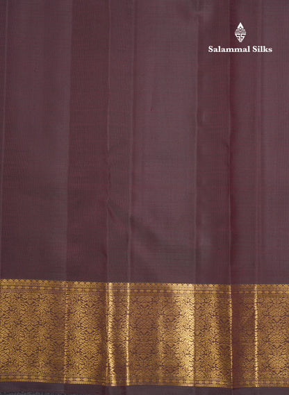 Plain Rust Orange Kanjivaram Pure Silk Silk Fast Premium Zari Saree With Contrast Brown Border