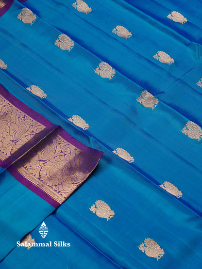 Beautiful Dual Tone Blue Pure Kanjivaram Silk Saree With Contrast Dark Purple Traditional Border