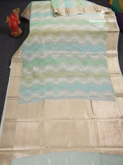 Beautiful Light Rexona Wave Pattern Thread Work Semi Organza Fancy Saree With Traditional Border
