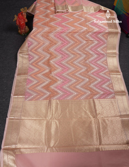 Beautiful Dark Peach Zig-Zag Thread Work Semi Organza Fancy Saree With Traditional Border