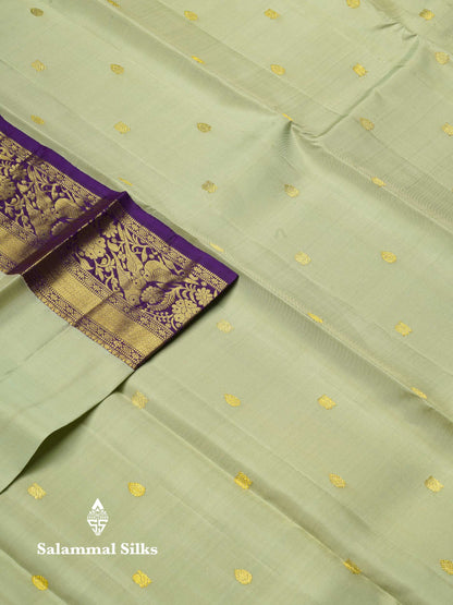 Beautiful Light Parrot Green Pure Kanjivaram Silk Saree With Contrast Dark Purple Traditional Border