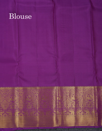 Beautiful Dual Tone Peacock Blue Pure Kanjivaram Silk Saree With Contrast Dark Purple Traditional Evening Morning Border