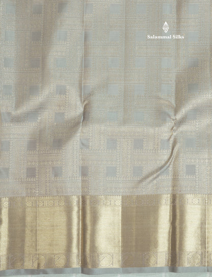 Beautiful Grey Pure Kanjivaram Silk Saree With Self Border
