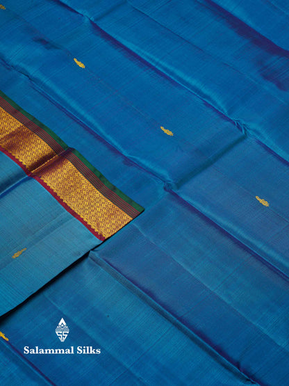 Beautiful Dual Tone Ramar Blue Pure Kanjivaram Silk Saree With Contrast Magenta Traditional Small Border