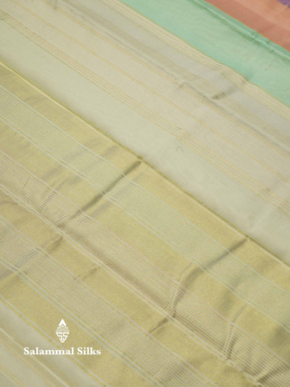 Beautiful Multicolour Kanjivaram Kora Silk Saree With Contrast Cream Sandal Blouse