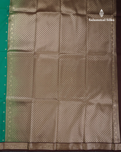 Beautiful Dual Tone Sapphire Green Semi Silk Saree With Contrast Brown Small Traditional Border