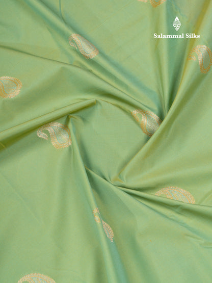 Parrot Green Semi Silk Saree With Contrast Pink Blouse