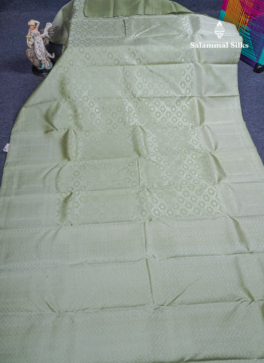 Pista Green Bridal Pure Kanjivaram Silk Saree With Silver Zari Long Border
