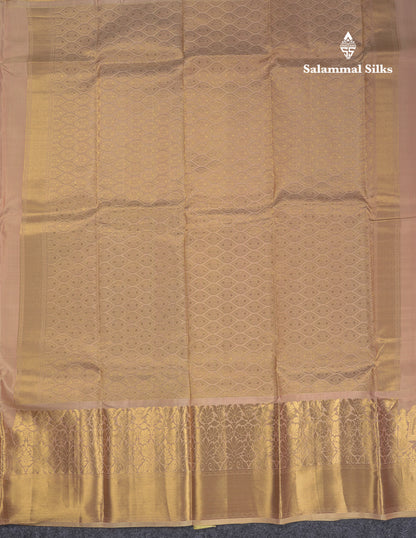 Beautiful Light Grey Plain Pure Kanjivaram Silk Saree With Traditional Pallaku Border
