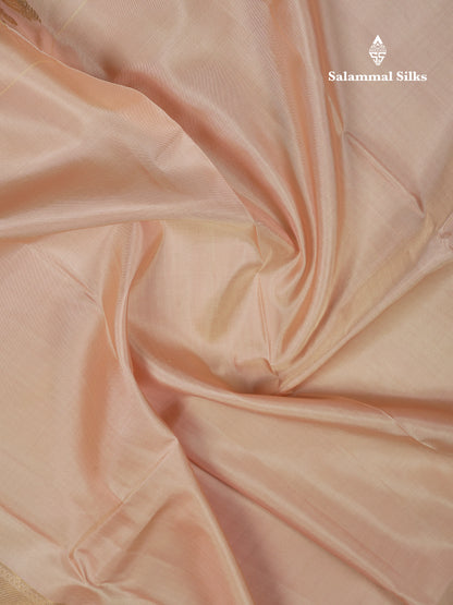 Beautiful Light Grey Plain Pure Kanjivaram Silk Saree With Traditional Pallaku Border