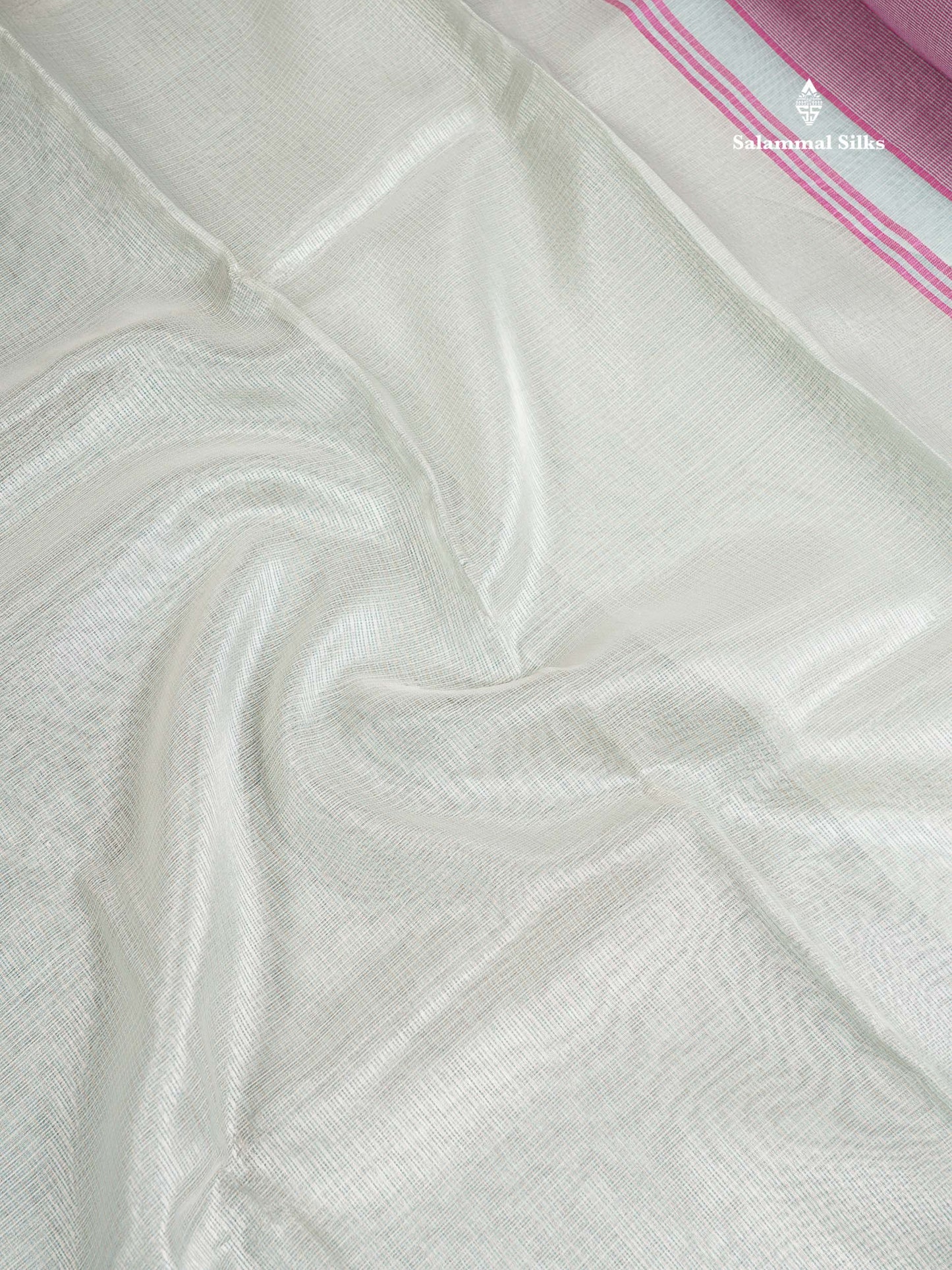 Tissue Saree -Cream Green Netted Along With Fancy Border