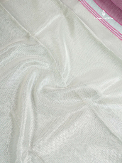 Tissue Saree -Cream Green Netted Along With Fancy Border