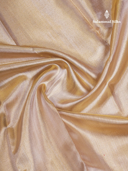 Beautiful Gold Plain Tissue Bridal Pure Kanjivaram Silk Saree With Contrast Chilly Red Traditional Evening Morning Border
