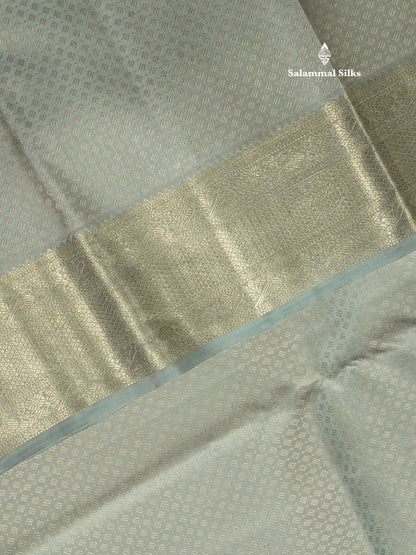 Beautiful Grey Pure Kanjivaram Silk Saree With Self Border