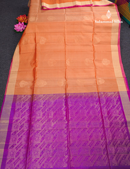 Beautiful Peach Pure Kanjivaram Soft Silk Saree With Contrast Vadamalli Blouse