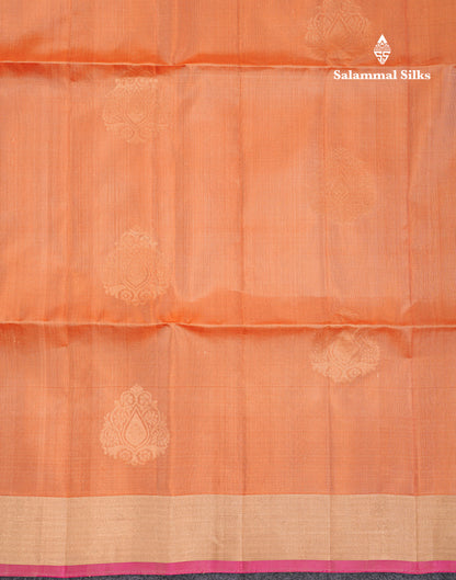 Beautiful Peach Pure Kanjivaram Soft Silk Saree With Contrast Vadamalli Blouse
