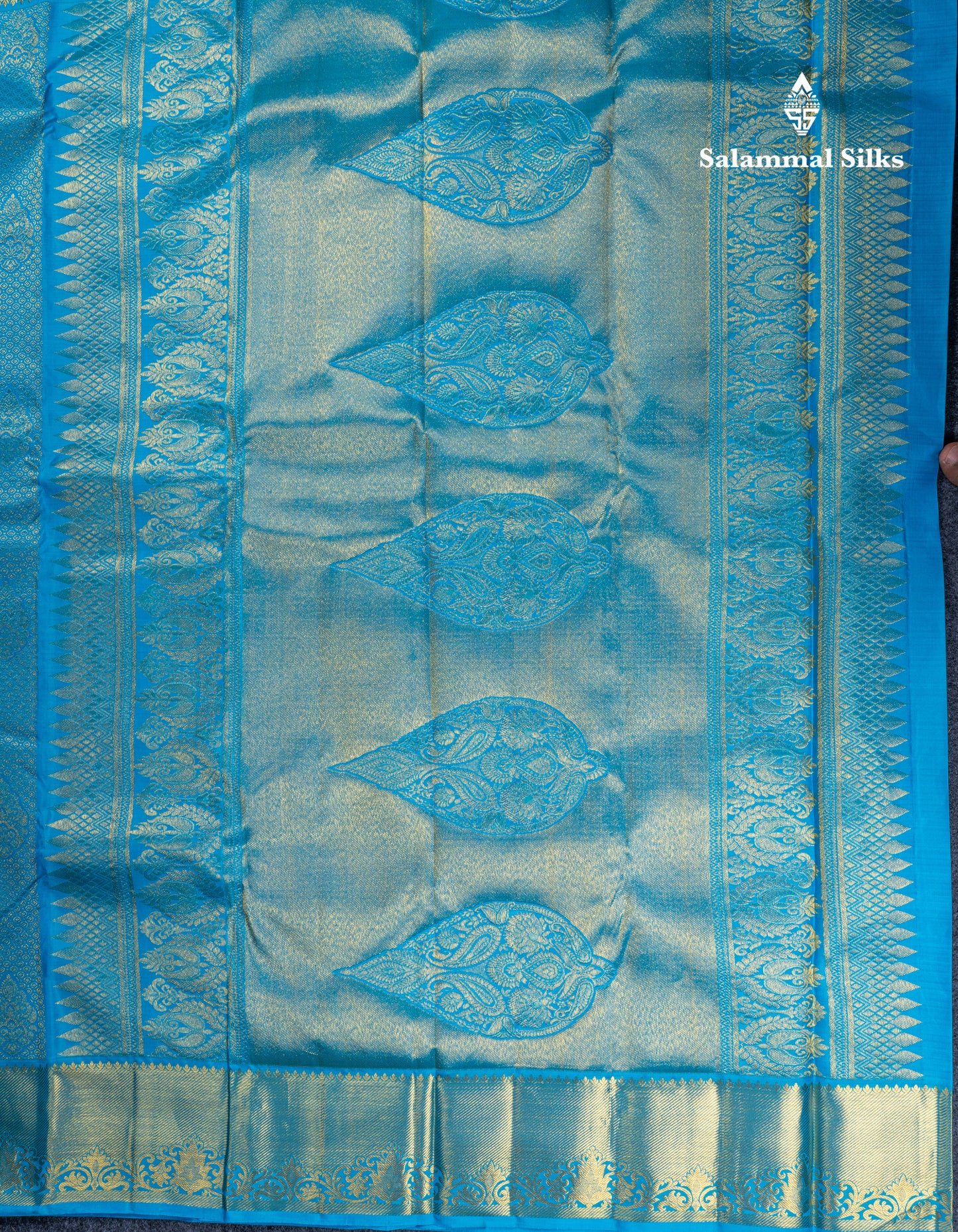 Sky Blue Bridal Pure Kanjivaram Silk Saree With Traditional Border