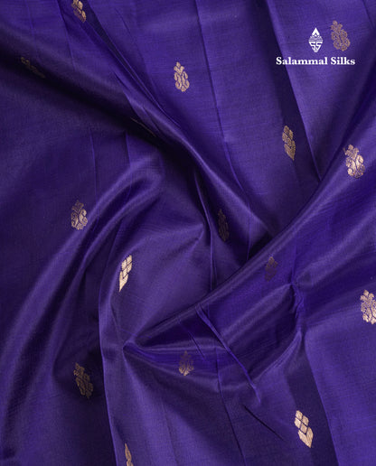 Violet Pure Kanjivaram Silk Saree With Contrast Blue One Side Border