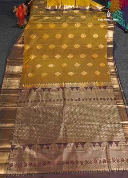 Semi Silk Saree - Olive Mustard Yellow Colour Body With Contrast Dark Brown Traditional Evening Morning Border