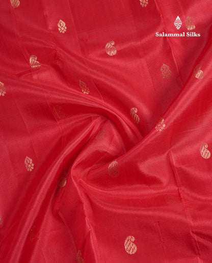 Chilly Red Pure Kanjivaram Silk Saree With Contrast Mustard Yellow One Side Border
