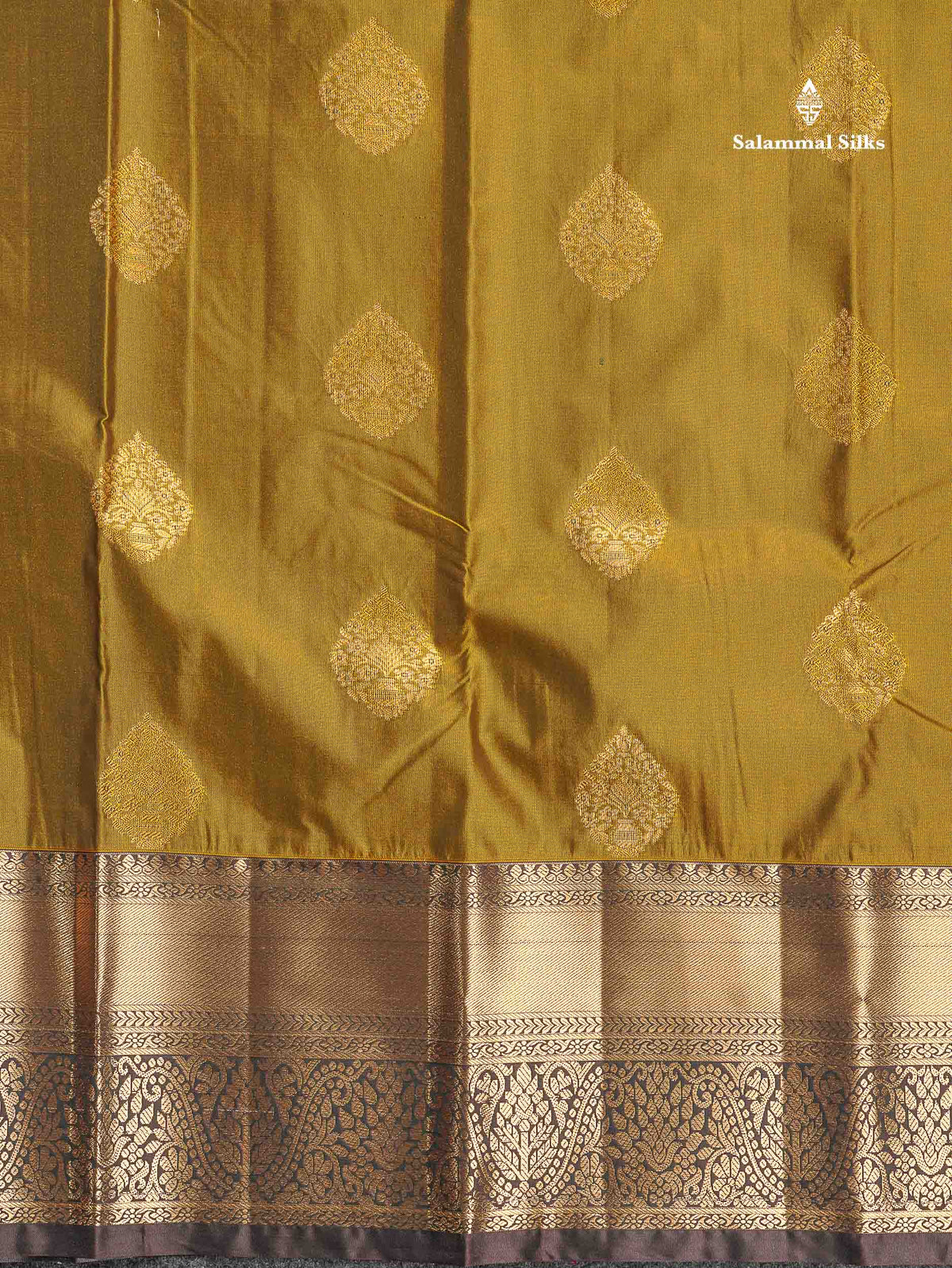 Semi Silk Saree - Dual Tone Green Colour Body With Contrast Dark Brown Traditional Evening Morning Border