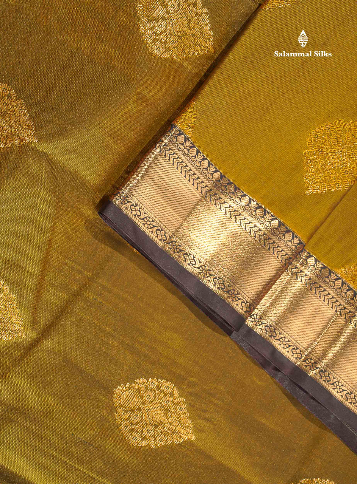 Semi Silk Saree - Dual Tone Green Colour Body With Contrast Dark Brown Traditional Evening Morning Border
