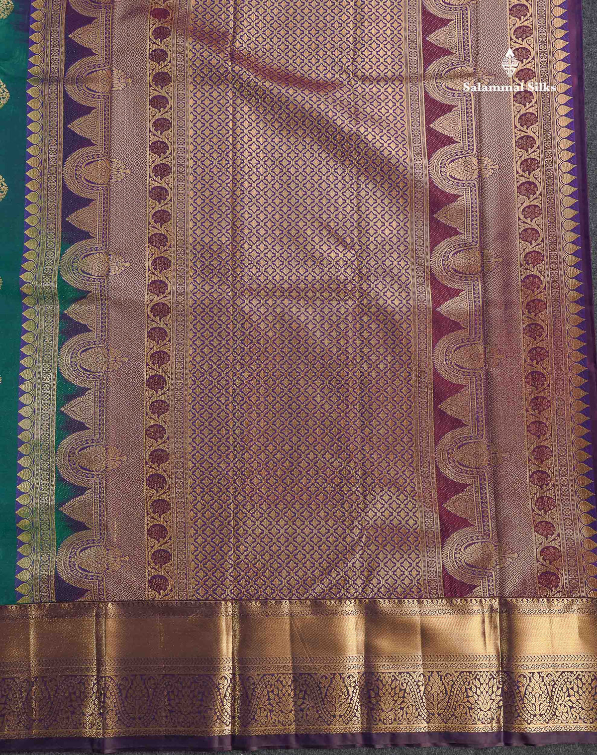 Semi Silk Saree - Dual Tone Green Colour Body With Contrast Dark Brown Traditional Evening Morning Border
