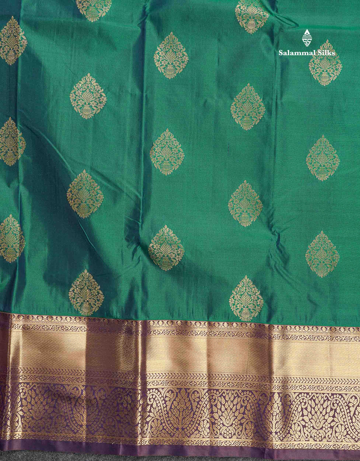 Semi Silk Saree - Dual Tone Green Colour Body With Contrast Dark Brown Traditional Evening Morning Border